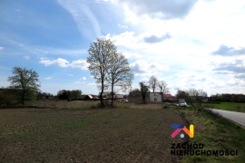Działka budowlana 10 km od Torzymia